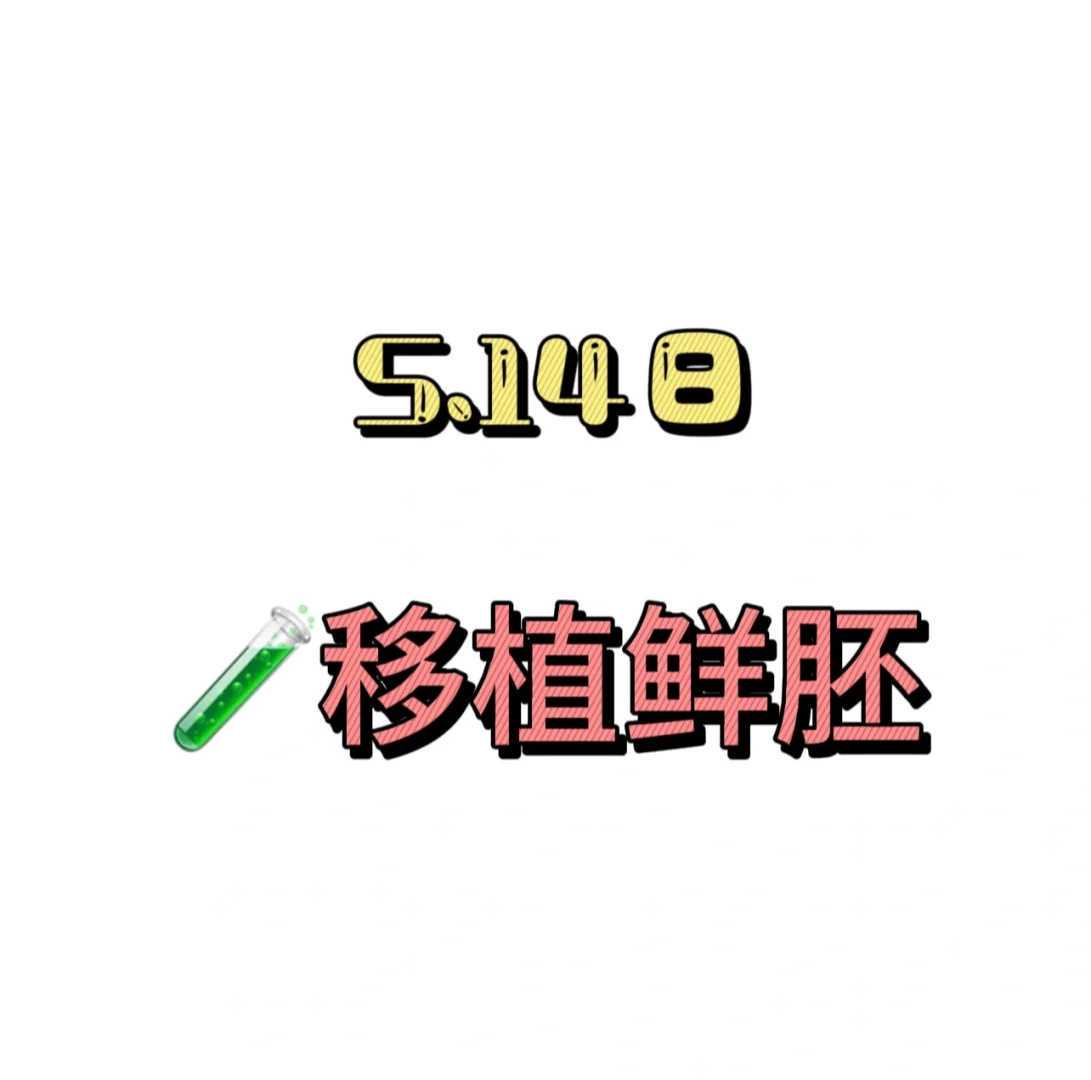 胚胎移植时间选择的科学指南与关键因素