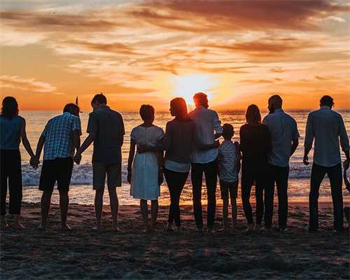 试管婴儿生男孩的科学探索与数据解析指南