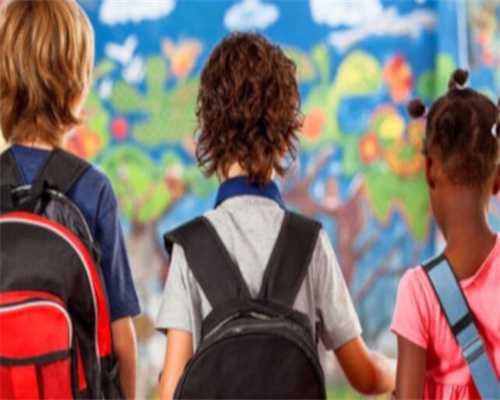 上海代生试管医院探索之旅：从迷茫到希望的蜕变