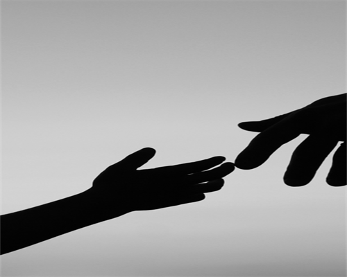 国内供卵试管医院Top10排名及成功率详细对比