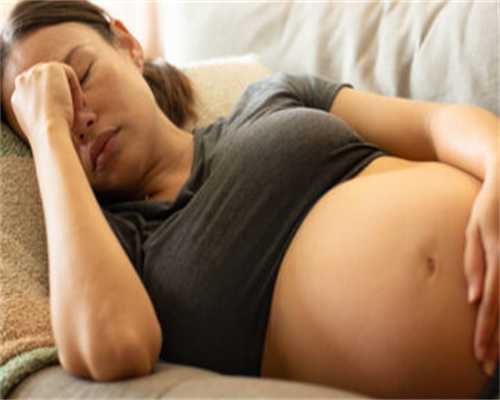 上海供卵试管之旅：从希望到现实的孕育奇迹