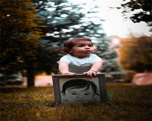 提高试管胚胎移植成功率的核心要素解析